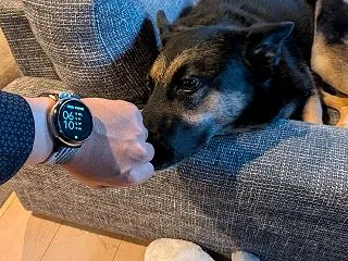 日曜日くらい寝かせてよ！朝寝坊した飼い主…