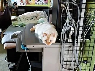 元気に2階へ