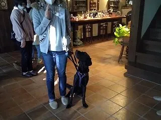 絶好のディスクドッグ日和