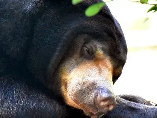 2026-10-11 のんほいパーク