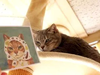 ただいま！