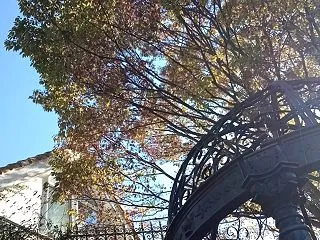 哲学者のようだ