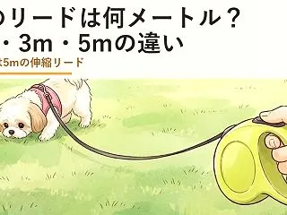 犬のリードは何メートル？1m・3m・5m…