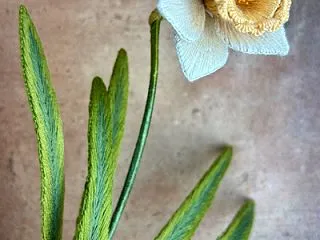 立体刺繍のラッパスイセン