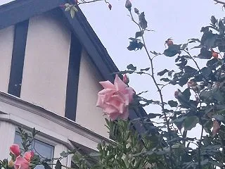 自分のおまる覚えてる?