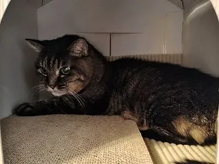 多分隠れ家