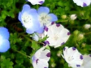 無事に終わったわぁ