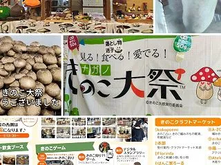ナガノきのこ大祭2026