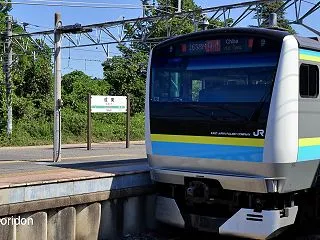 錆びつく線路とピカピカの新車？成東にて