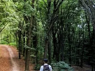 【選択と氣付き】練習での氣憶#560～自…
