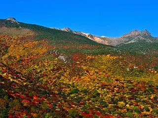 冬山を登る