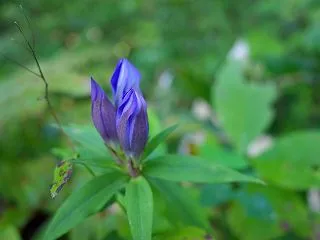 青の色が見えて来ました・・・・