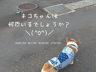 問題です(*^^*)