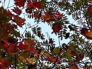 【パワースポット紀行（NO.3）金剛山瑞…