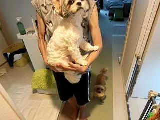週末に向けてクミがポンコツに…