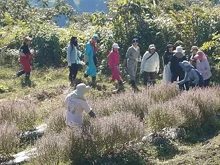 神様へのご奉仕