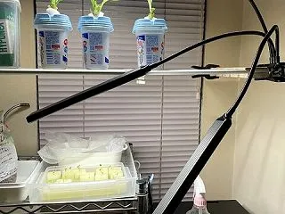 【水耕栽培】栽培用ライトを買ってみた
