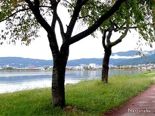 ( `◕ ω ◕ ).｡o長生きできる時…