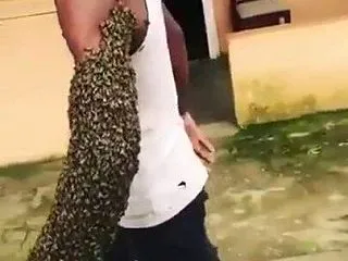 片腕がハチの群れでびっしり、防護服なしで…