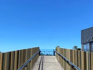 Let's go for a walk
