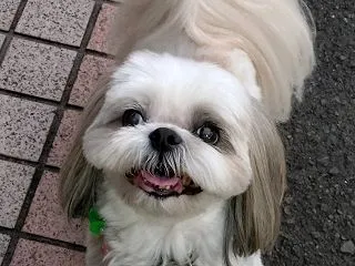 晴れたね♬