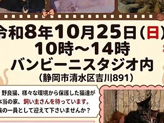 【静岡市保護猫】親離れ子離れ
