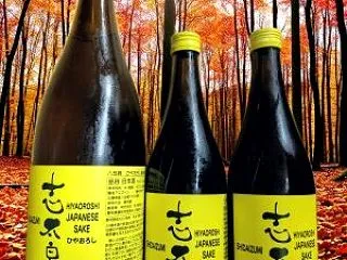 志太泉 ひやおろし原酒 志太泉酒造