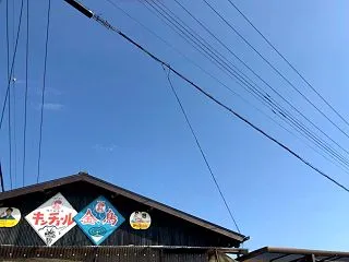 キンチョー