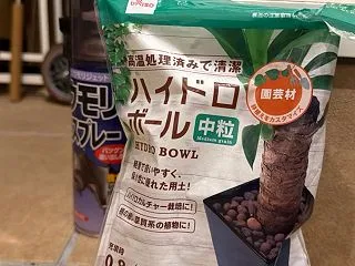 【初めての虫飼い・前編】ダイソーで済ませ…