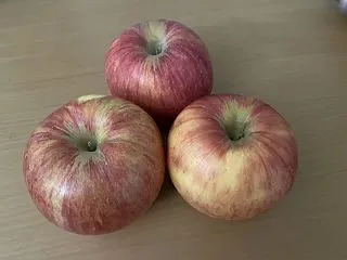 傷ありサンつがると、寝る方向を変えてみる