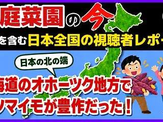 【みなさんの写真10月前半】サツマイモが…