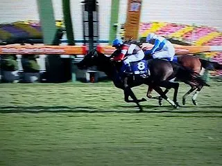 競馬界に新たなスターモンローウォークが誕…