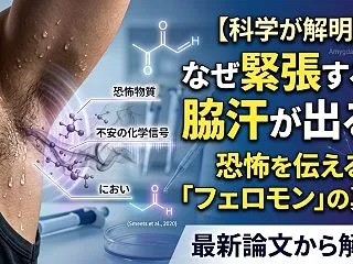 なぜ緊張すると脇汗が出るのか？ 恐怖や不…