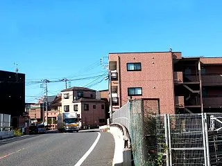 今日の散歩