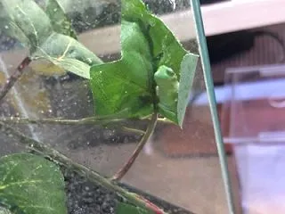 少しづつ