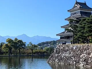 唐揚げを食べて胃もたれする日々のことなど