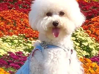 bebe＆coco (ㅅ´ ˘ `) 夕…