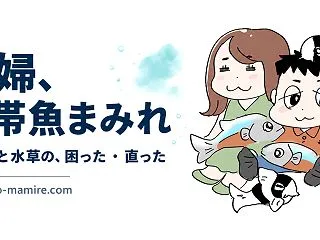 水槽のエアレーションはやり過ぎでもいい？…