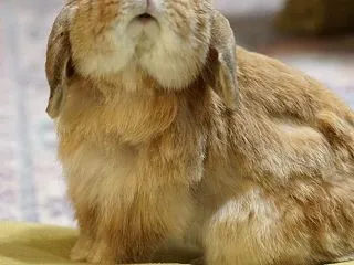 夜んぽはかどっています