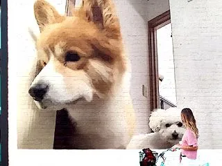 【ペット】まったりと触れ合う時間 ありが…