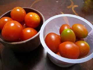 大人の恋愛は 清楚なだけが正解ではないの…