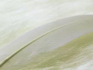 10/19～10/25のカラーカード：「…