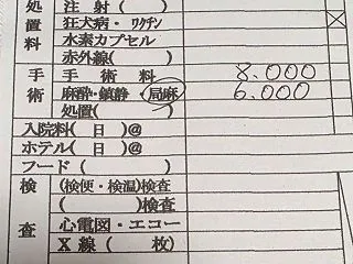 みるくを迎えに行く