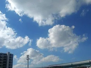 雷無月、18日目