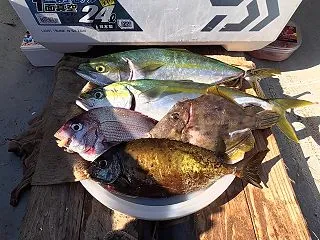 金田湾、ようやく秋らしい海になってきた！