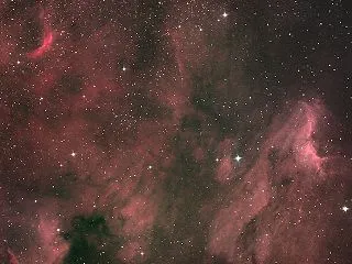 Quattro150Pで撮ったペリカン星…