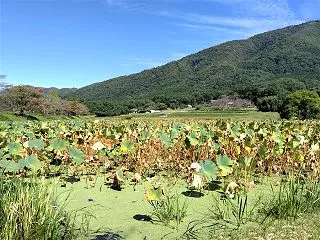 【自転車】平の沢池を見てきました