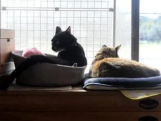 着かず離れず。。