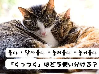 【韓国語】「くっつく」はどう使い分ける？…