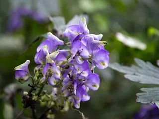 10月18日